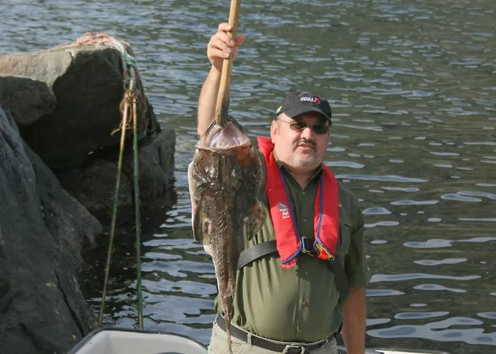 Semesterbostad 7 Person In Selje-by Traum Selje